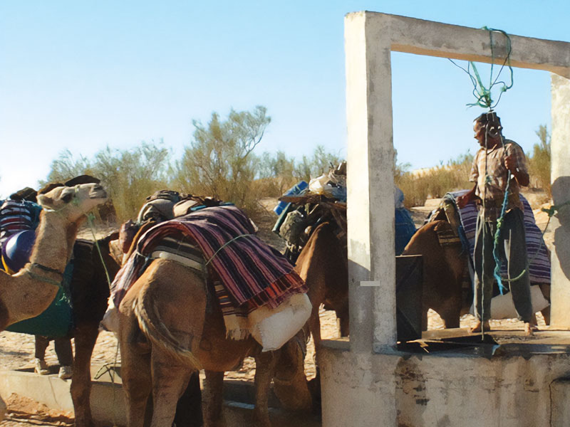 Tiheleem The Songs Of Herdsmen Of Camels In The Tunisian Desert