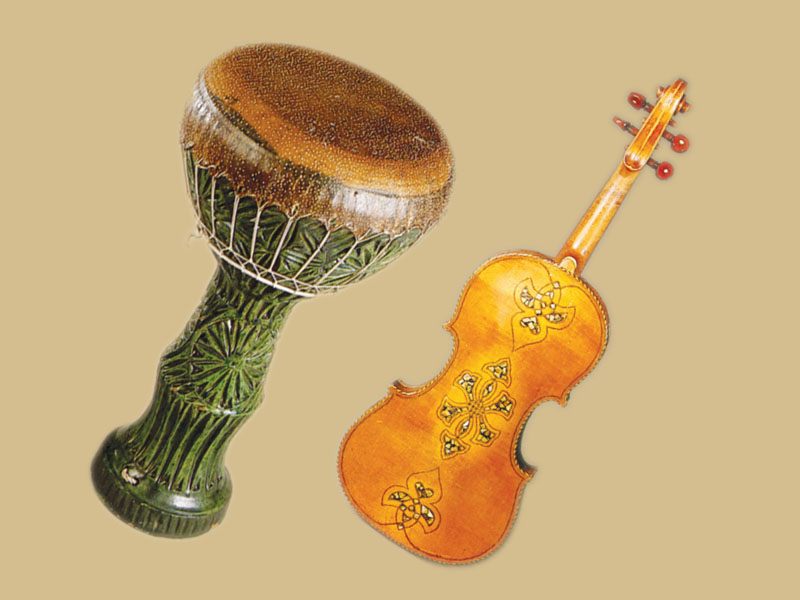 The diversity of musical instruments