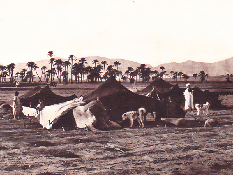 Палатка «Аулад Сиди Найель»:  Пространство для Хранения Культурного  Наследия и Занятие Обычаев и Традиций