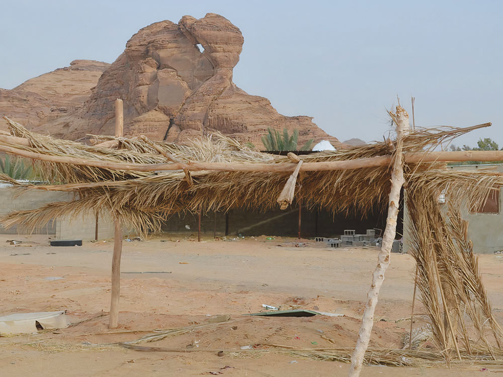 The traditional palm houses of Al-Ula Governorate 