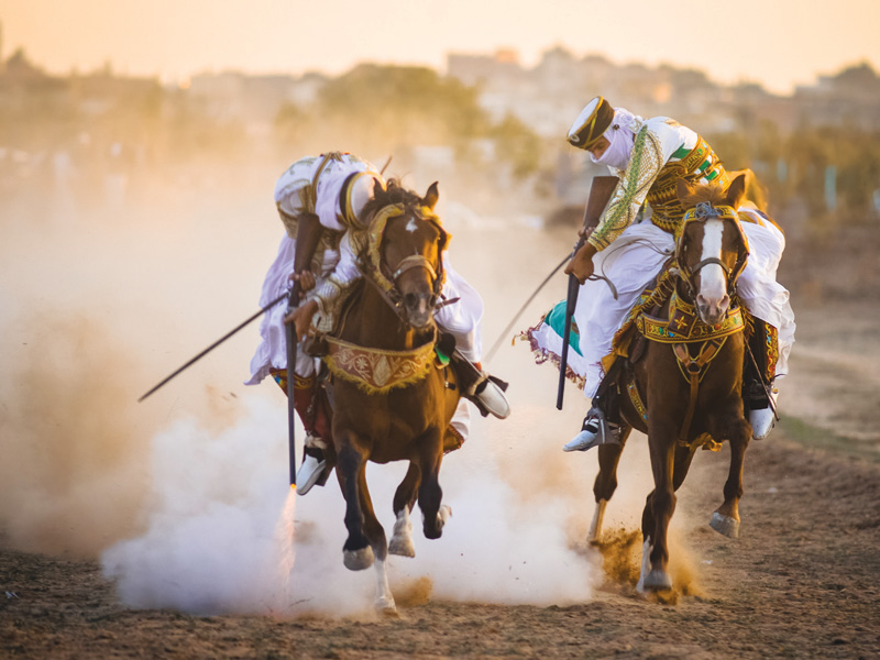 Gunpowder and Rifles in Fantasy Celebrations in Algeria