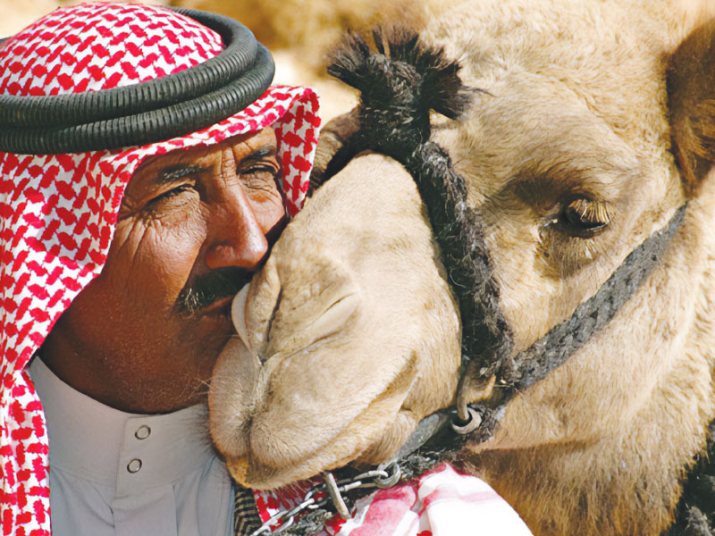 Taming of Camels